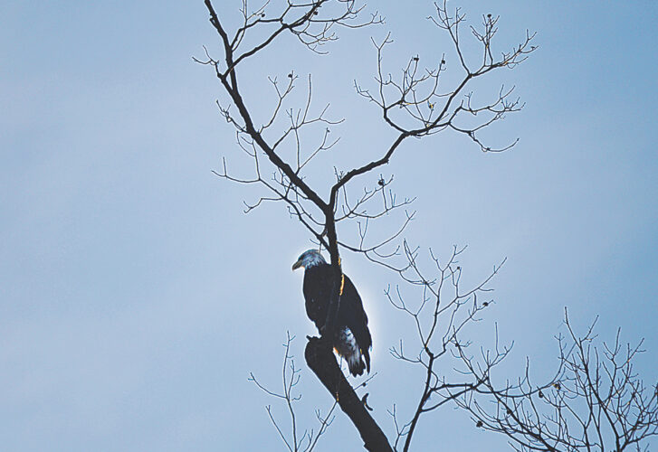 Lookout post